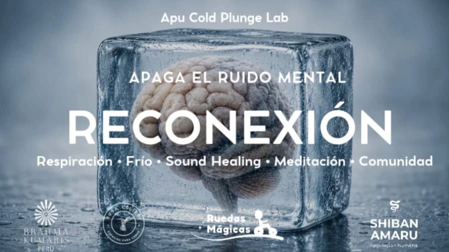 Reconexión Fest: Bienestar con Propósito — Festival