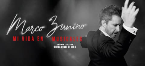 MARCO ZUNINO - MI VIDA EN MUSICALES — Teatro — TEATRO NOS PUCP