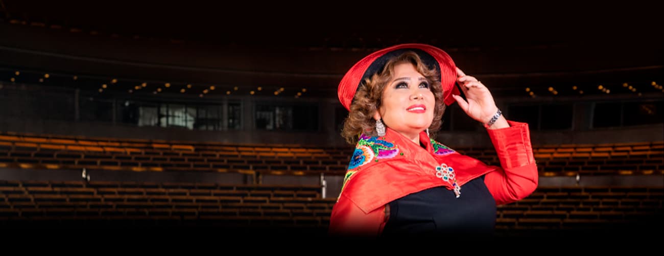 AMANDA PORTALES ``ARTE PURO II´´ — Teatro — GRAN TEATRO NACIONAL