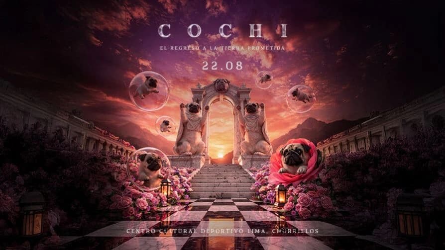 COCHI - EL REGRESO A LA TIERRA PROMETIDA / BOXES — Otro — cochi 2026