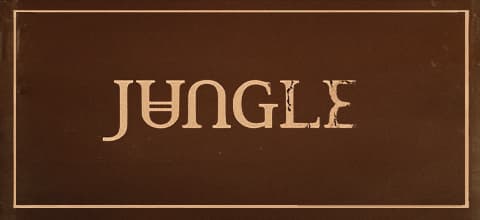 JUNGLE - World Tour 2027 — Otro — MULTIESPACIO COSTA 21