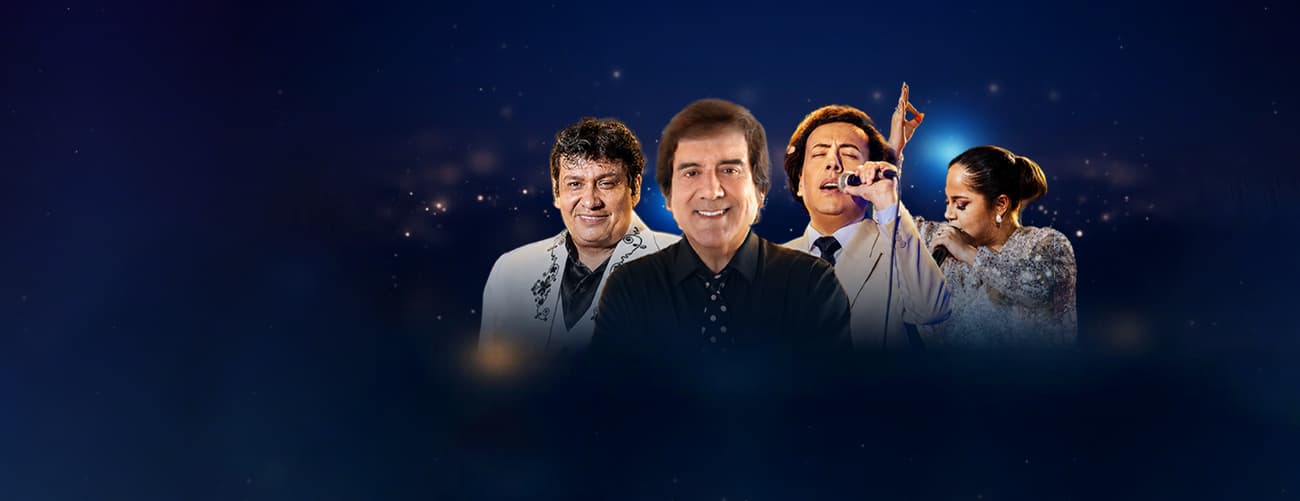 MI GRAN NOCHE, TRIBUTO A RAPHAEL-JULIO IGLESIAS-JUAN GABRIEL — Concierto — C.C. BIANCA