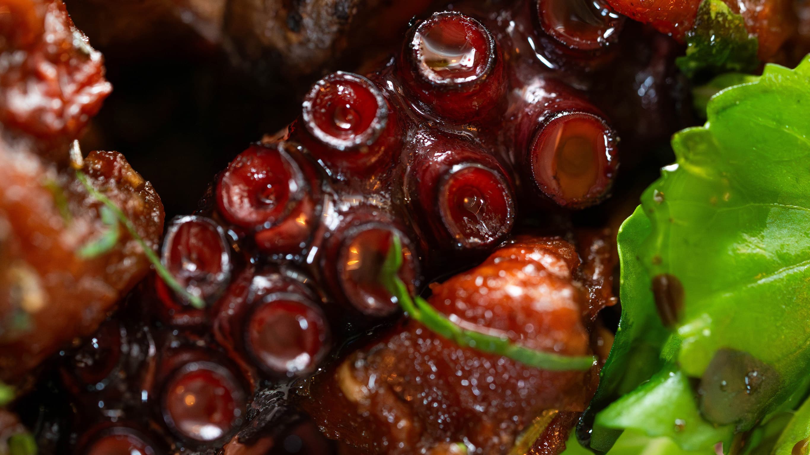 Cicciolina