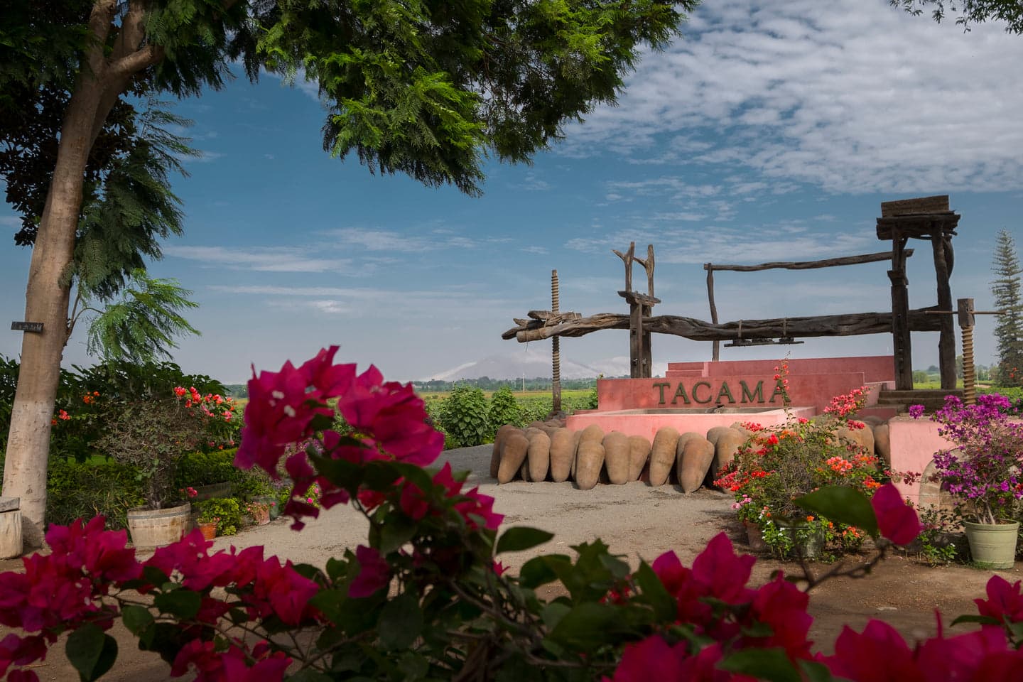 Tambo de Tacama