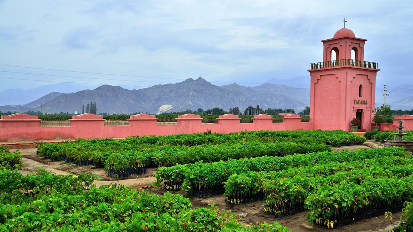 Tambo de Tacama