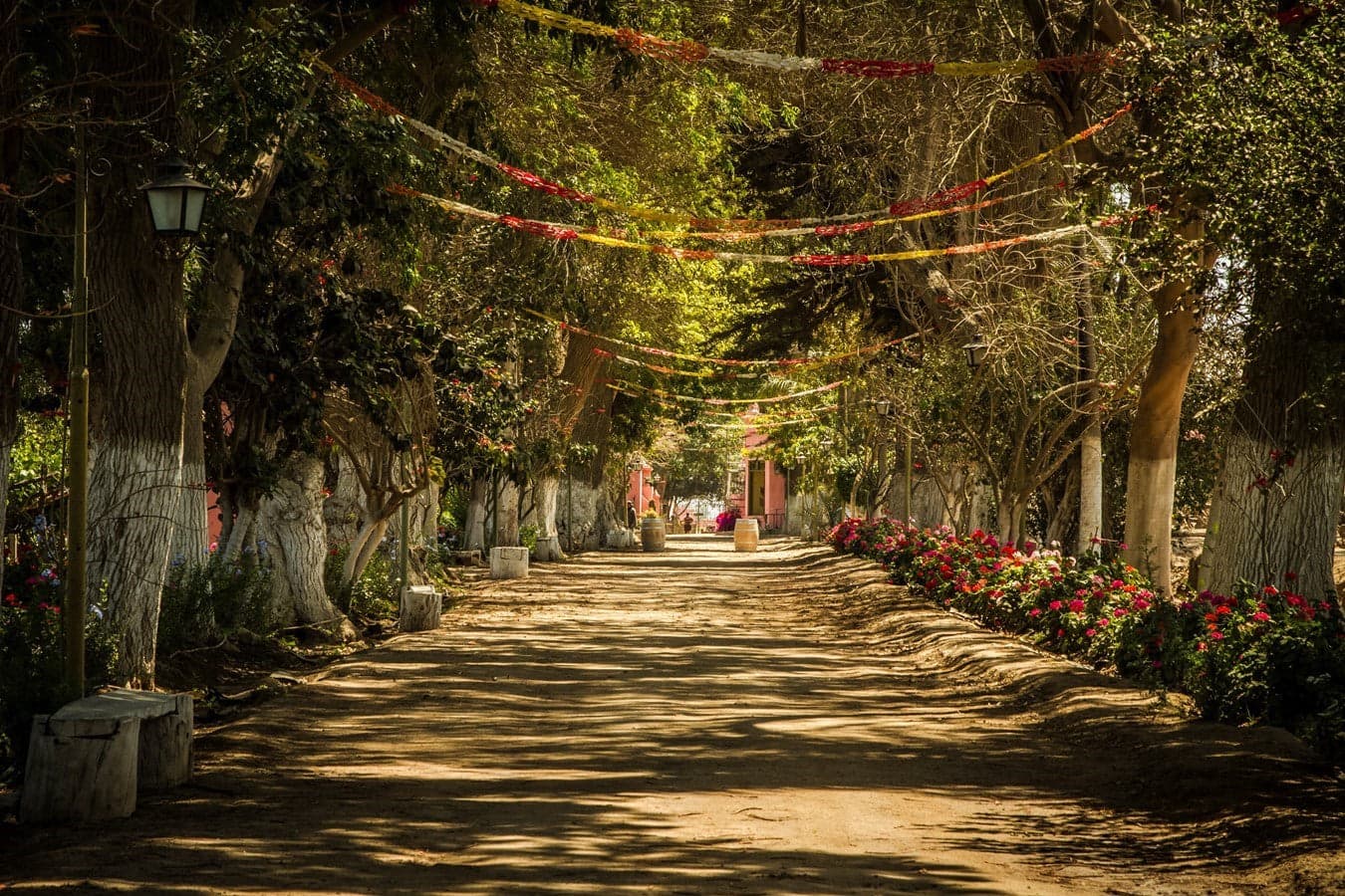 Tambo de Tacama