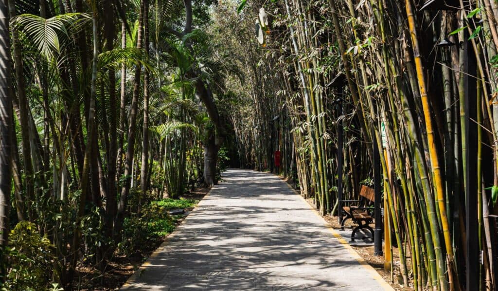 Hacienda MonteRico