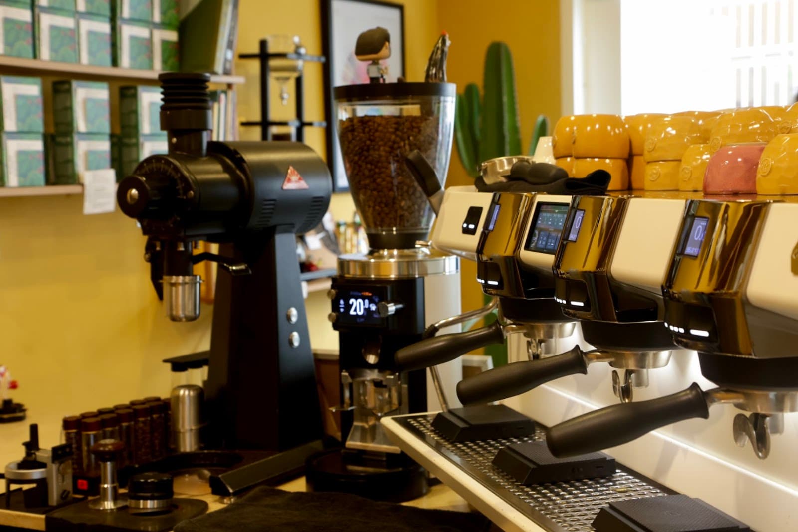 Ciclos Cafe