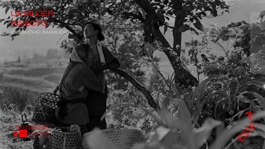 La Mujer Insecto (35 mm) — Cine — Sala de Cine PUPC