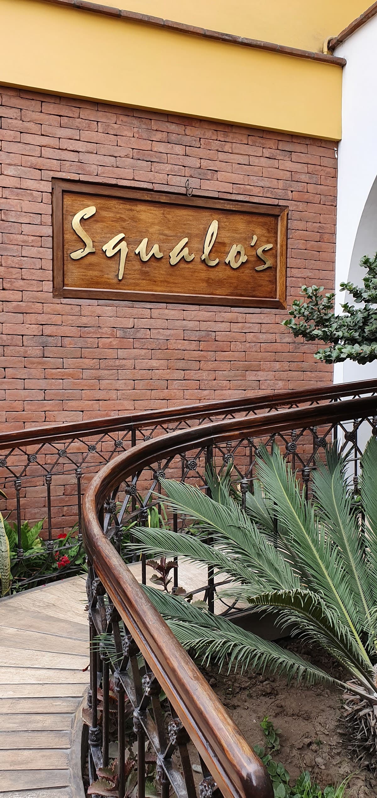 Squalo's
